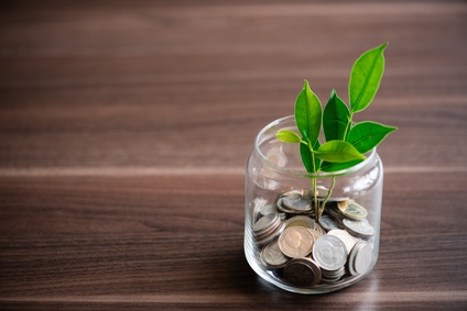 Capitalización Prestación por Desempleo 8 - Santa Cruz Economistas